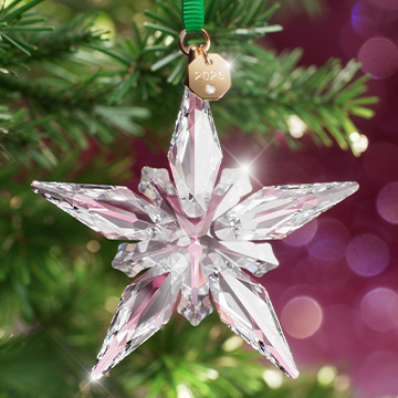 ديكور المنزل